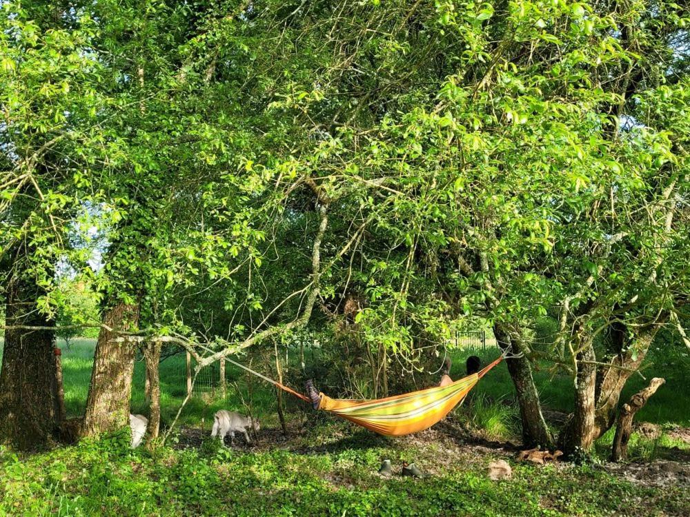 Le Domaine Des Sources Bed and Breakfast Landévant Εξωτερικό φωτογραφία